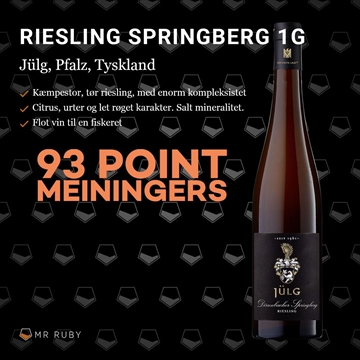 2022 Riesling Springberg 1G, Weingut Jülg, Pfalz, Tyskland